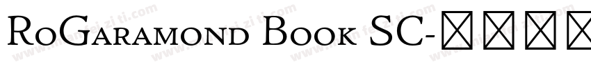 RoGaramond Book SC字体转换